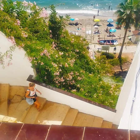 Sun Carabeo 91